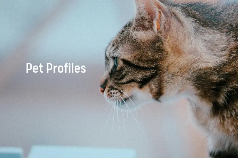 Pet Profiles