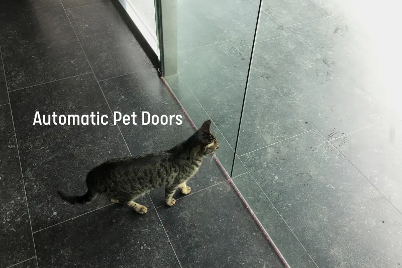 Automatic Pet Doors