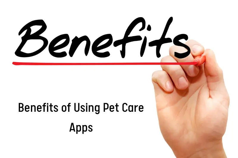 Benefits of Using Pet Care Apps