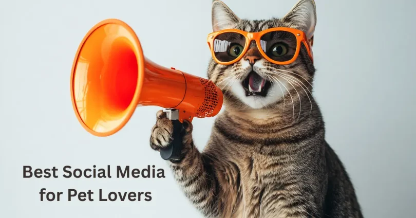 Best Social Media for Pet Lovers