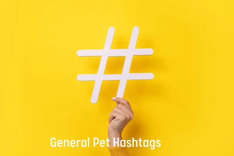 General Pet Hashtags