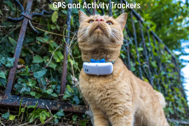 GPS and Activity Trackers