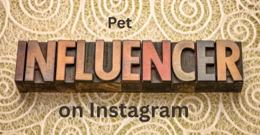 pet influencers on Instagram