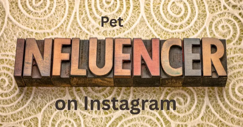pet influencers on Instagram