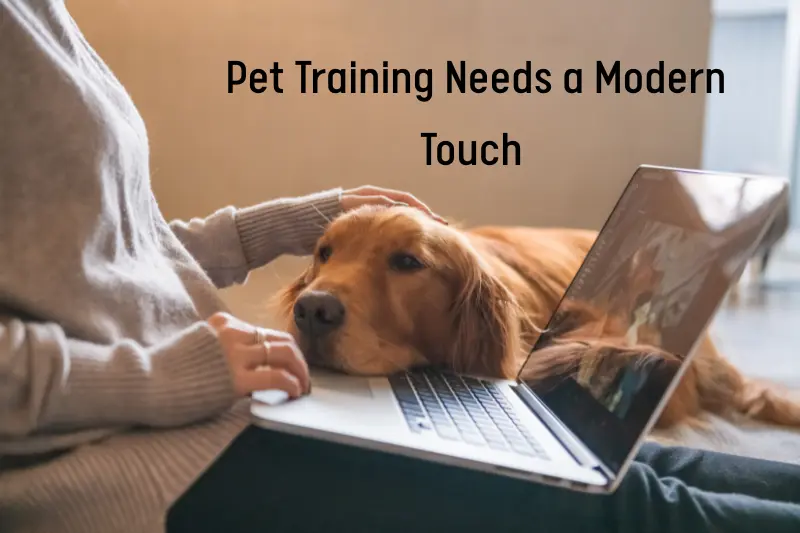 Pet Training Needs a Modern Touch