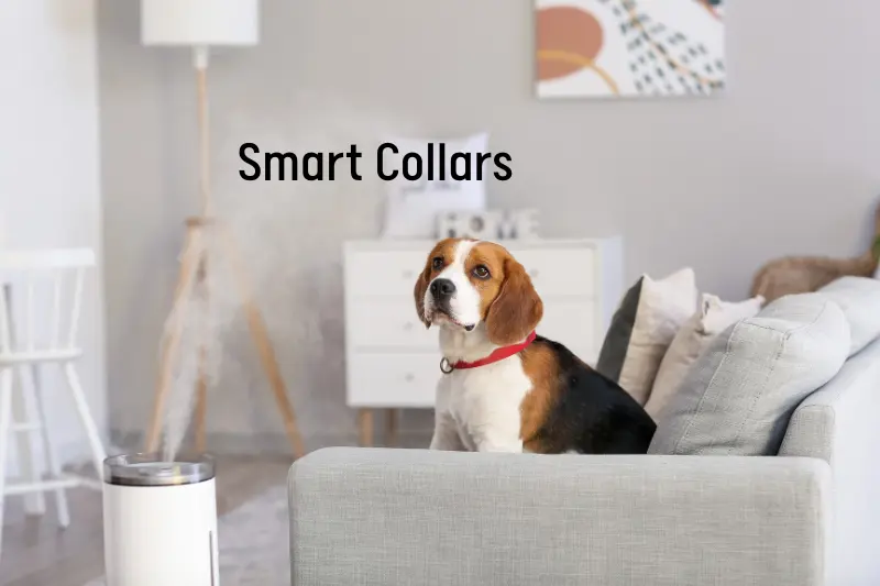 Smart Collars