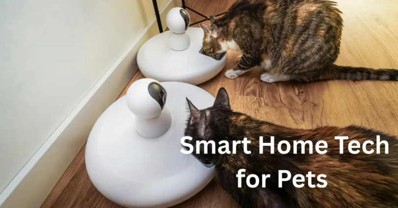 Smart Home Tech for Pets