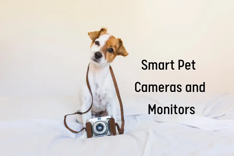 Smart Pet Cameras and Monitors
