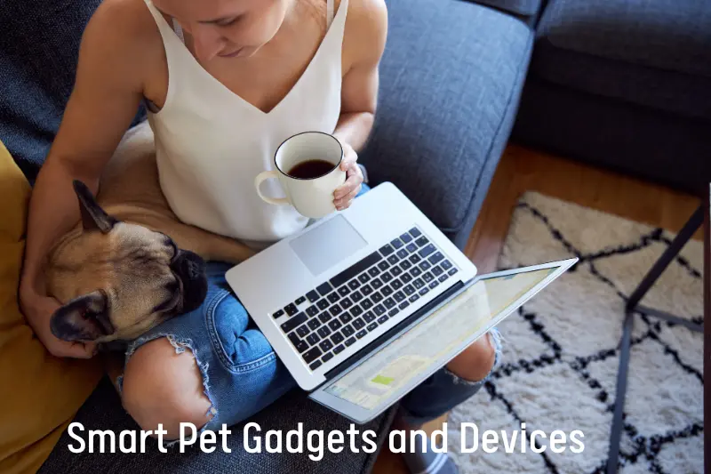 Smart Pet Gadgets and Devices