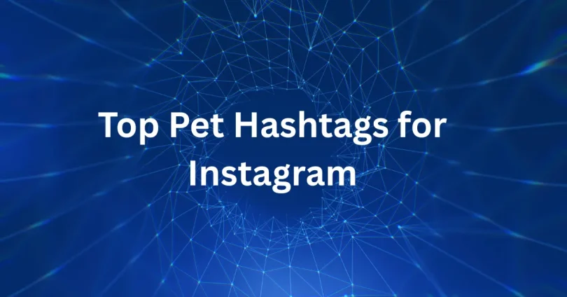 Top Pet Hashtags for Instagram