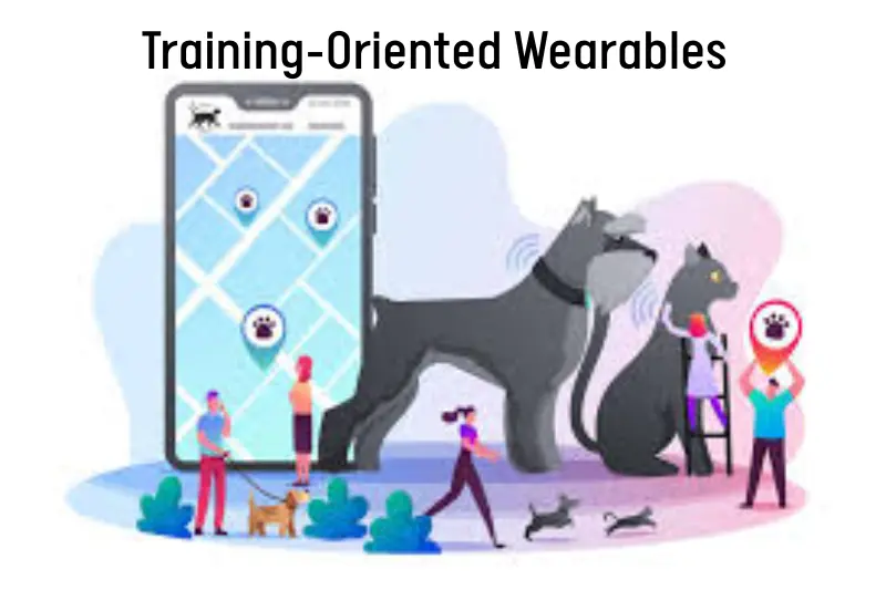 Training-Oriented Wearables